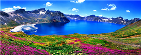 그림입니다.
                        원본 그림의 이름: CLP00001a6c4524.bmp
                        원본 그림의 크기: 가로 1185pixel, 세로 463pixel